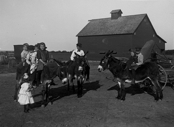 Unknown Family